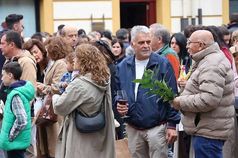 domingo-ramos-infiesto-2025-01