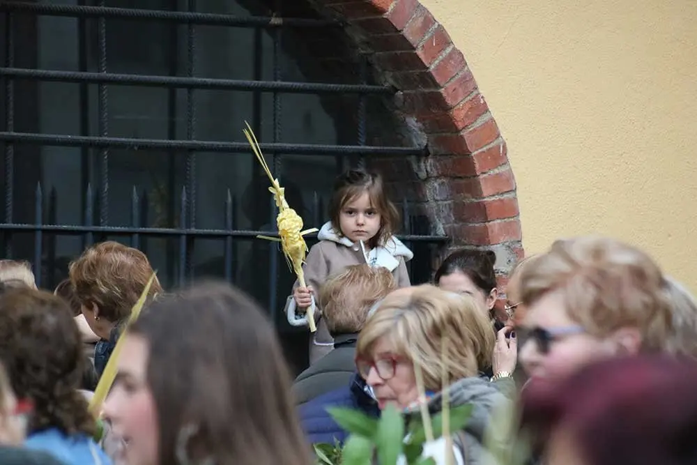 ramos-borriquilla-lugones-2025-024