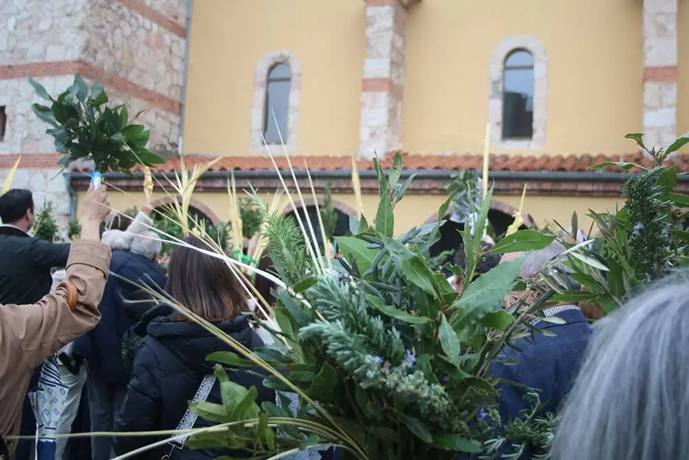 ramos-borriquilla-lugones-2025-029