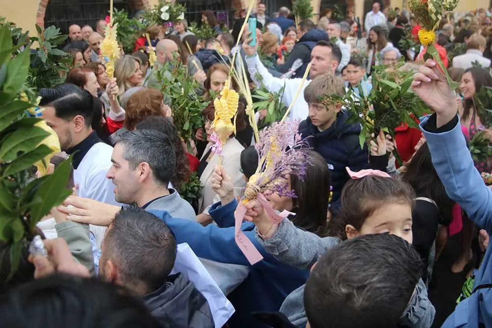 ramos-borriquilla-lugones-2025-032