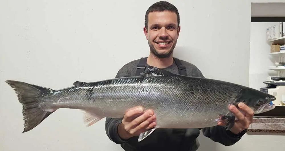 campanu-narcea-2025-01