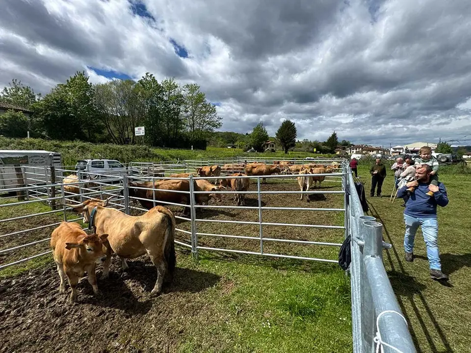 feria-sevares-semana-santa-2025-01