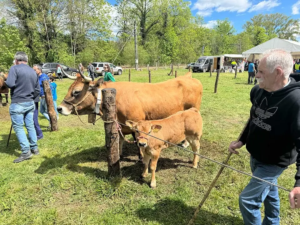 feria-sevares-semana-santa-2025-011