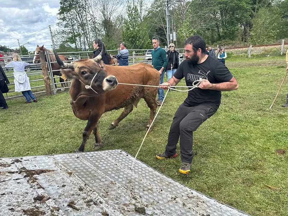 feria-sevares-semana-santa-2025-012