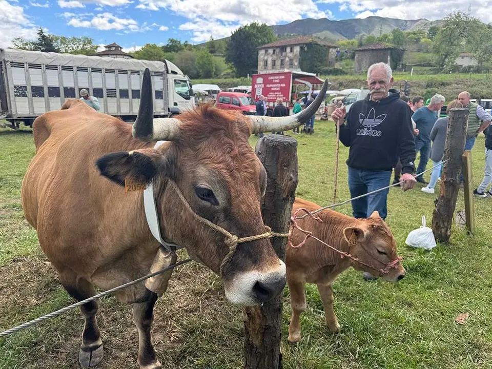 feria-sevares-semana-santa-2025-013