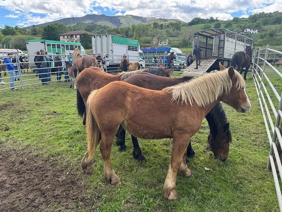 feria-sevares-semana-santa-2025-014