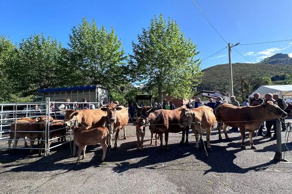 feria-santillan-1-mayo