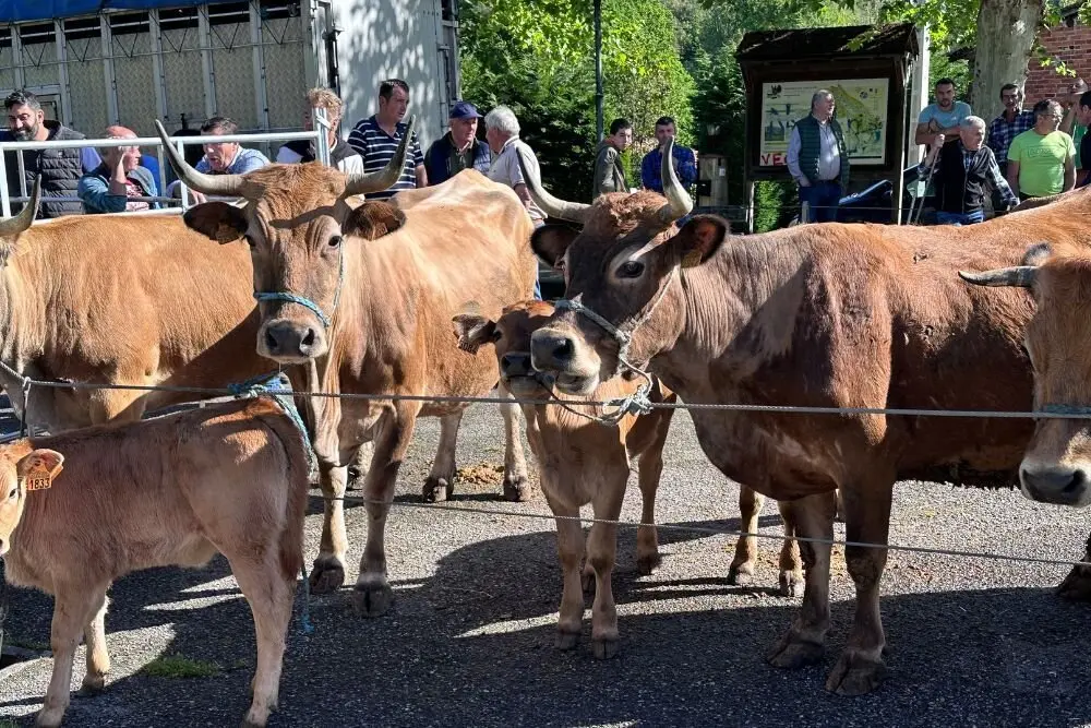 feria-santillan-1-mayo (2)