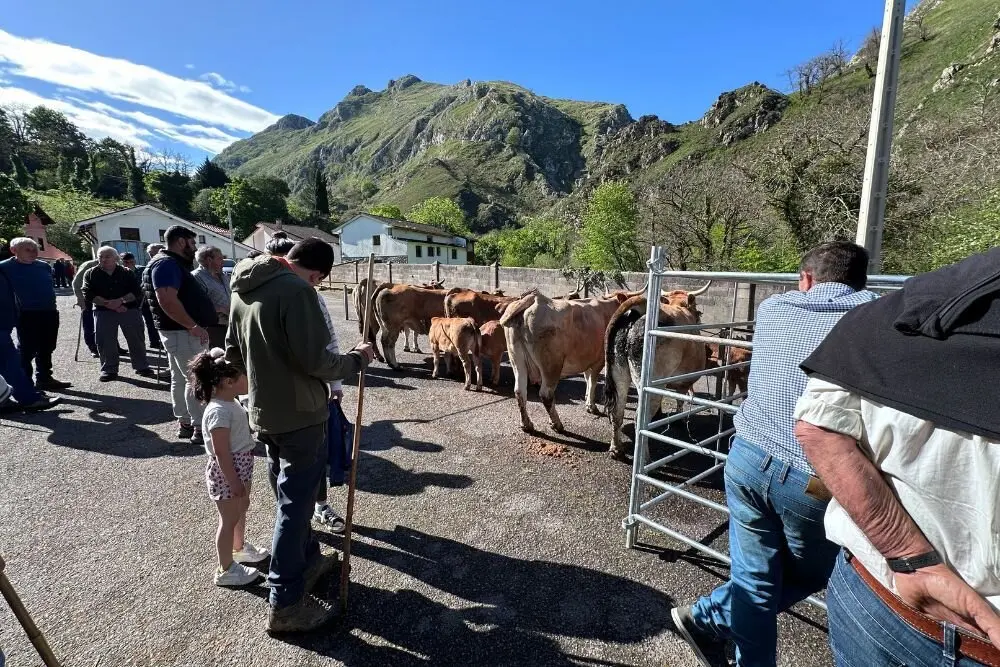 feria-santillan-1-mayo (4)