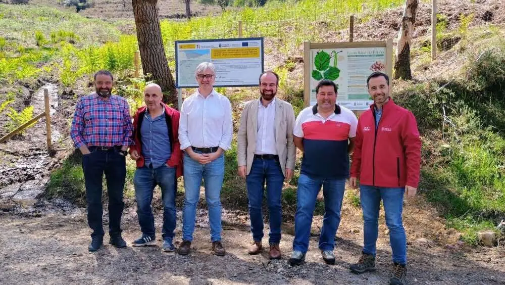 repoblacion-arboles-pilona