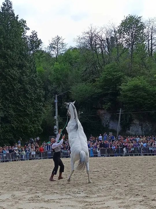 feria-abril-infiesto-caballos-jamon-02