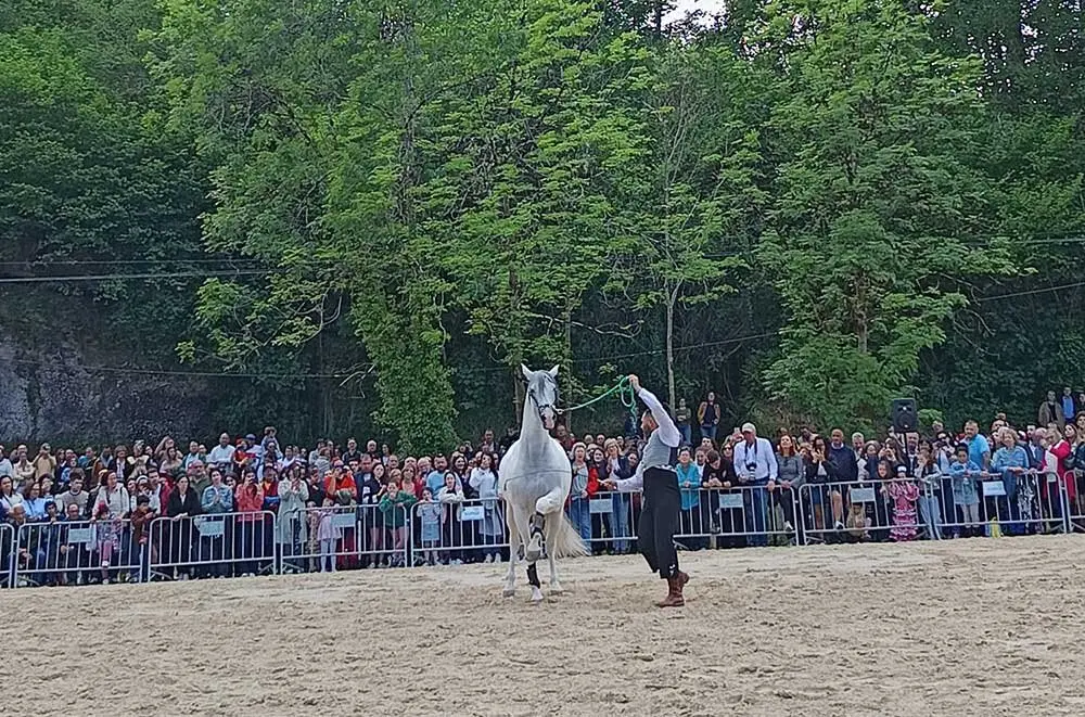 feria-abril-infiesto-caballos-jamon-03