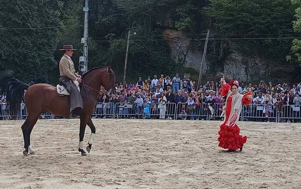 feria-abril-infiesto-caballos-jamon-05