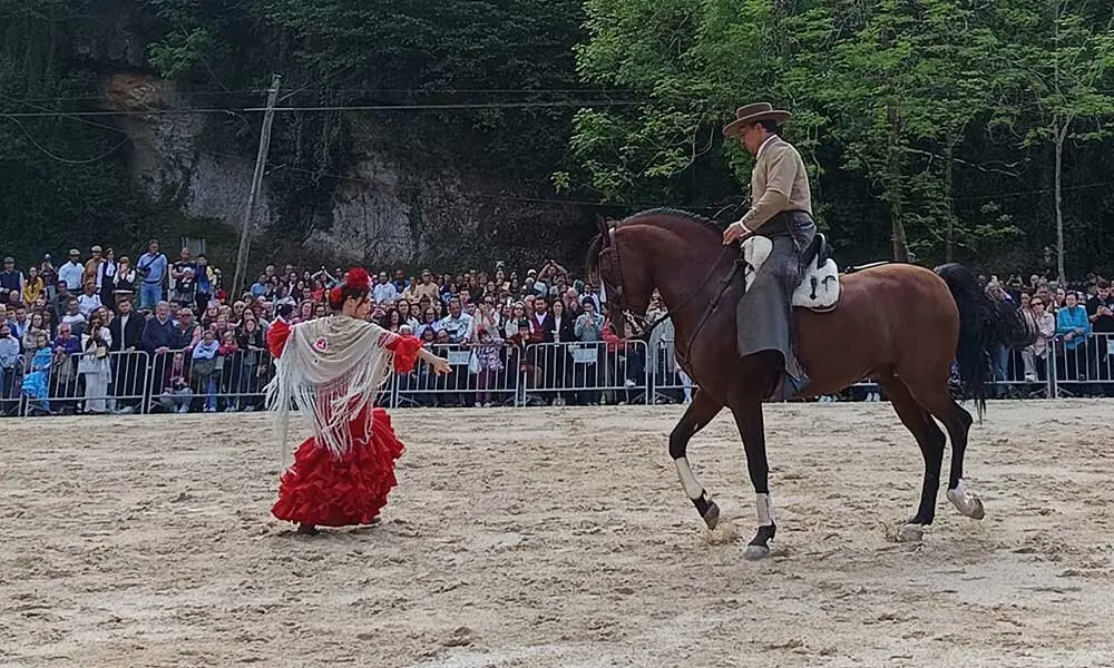 feria-abril-infiesto-caballos-jamon-06