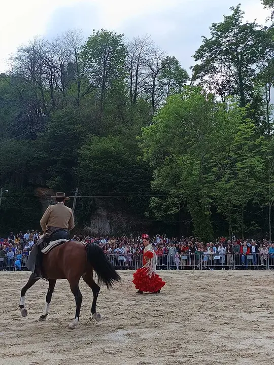 feria-abril-infiesto-caballos-jamon-07