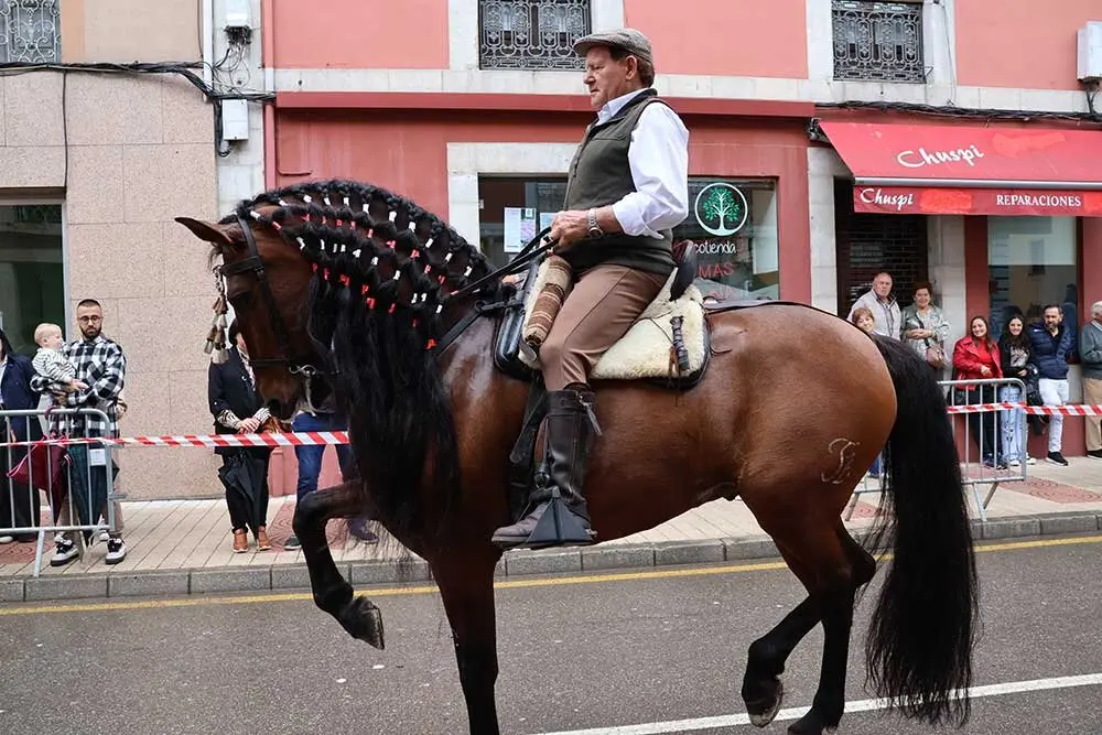 caballos-feria-abril-infiesto-2025-016