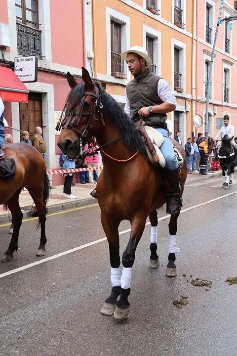 caballos-feria-abril-infiesto-2025-030