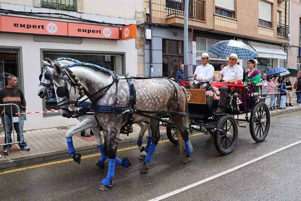 caballos-feria-abril-infiesto-2025-061