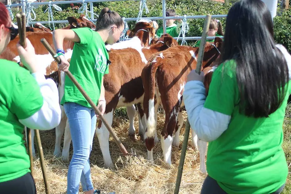 san-isidro-llanera-2025-03