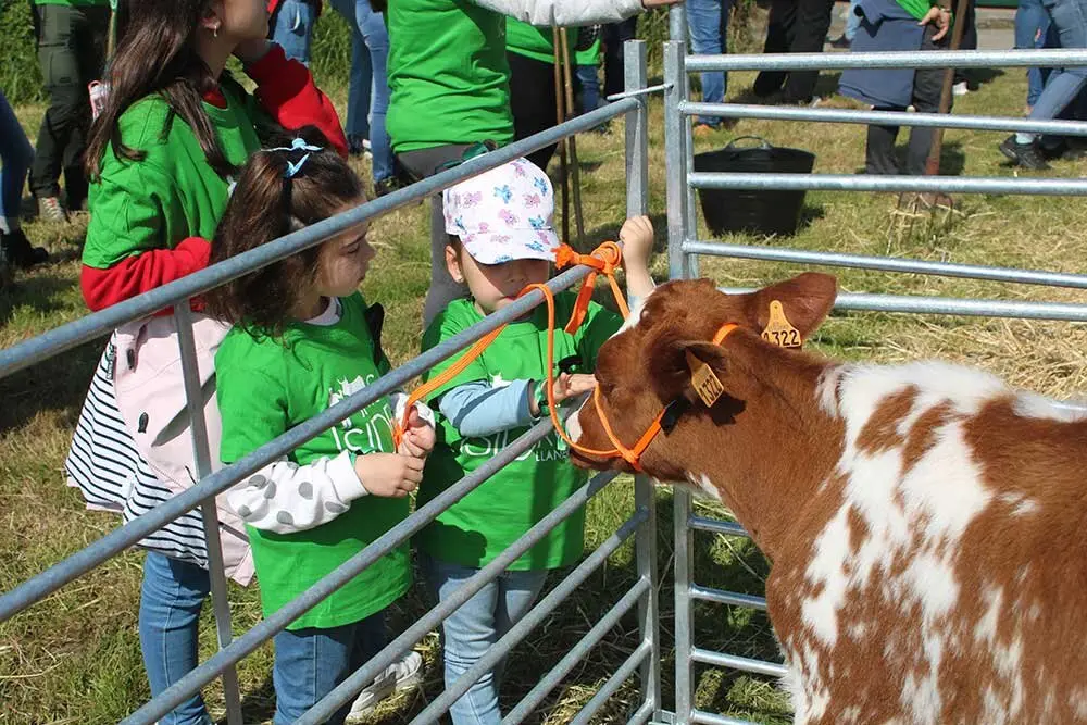 san-isidro-llanera-2025-02