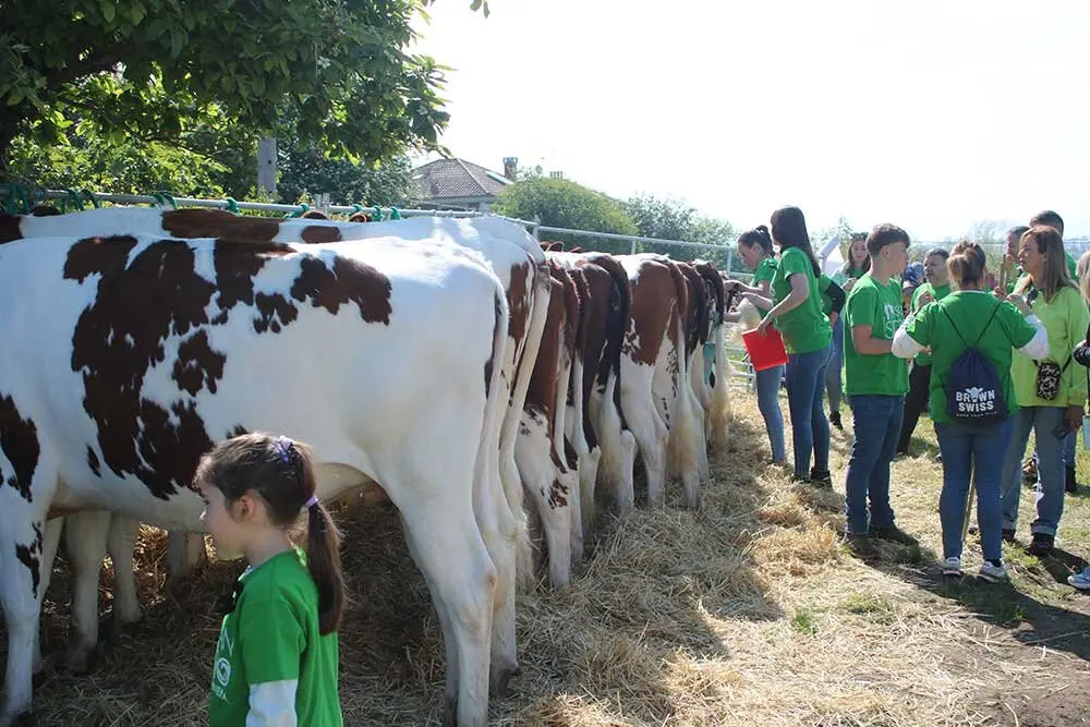 san-isidro-llanera-2025-09