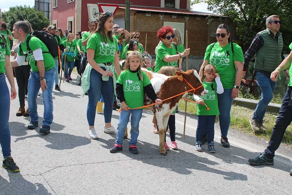 san-isidro-llanera-2025-011