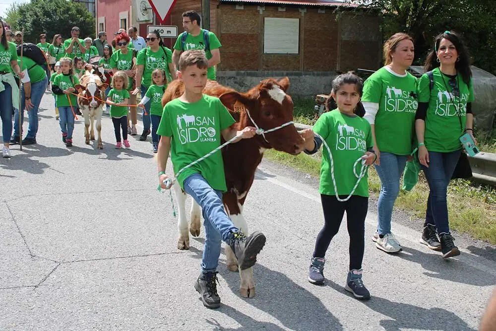 san-isidro-llanera-2025-012