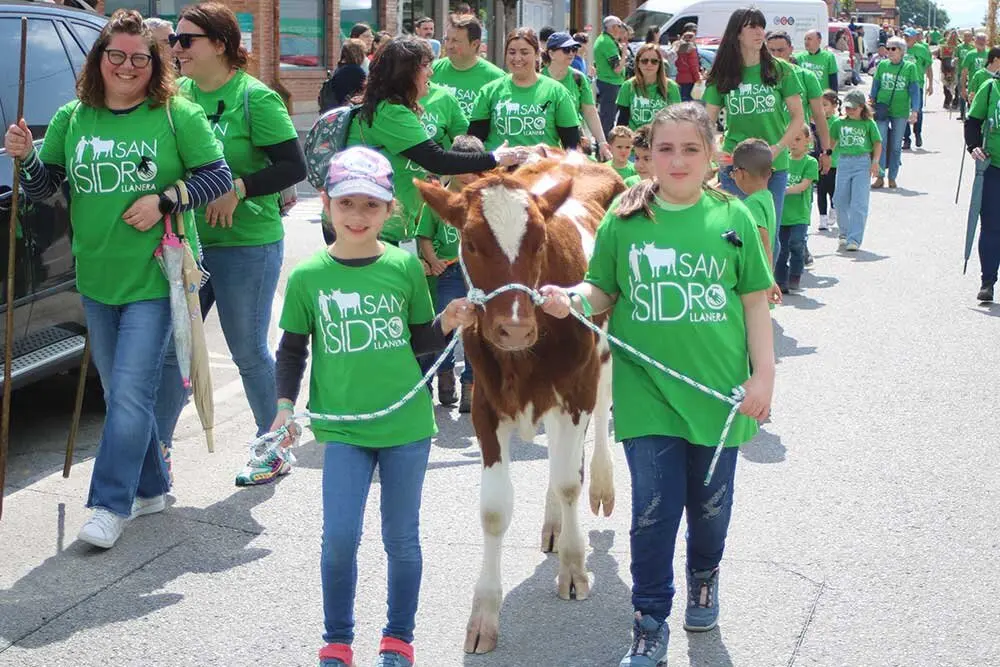 san-isidro-llanera-2025-013