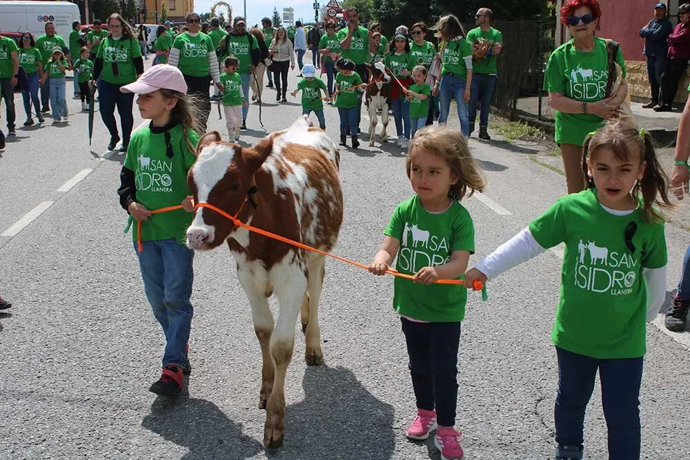 san-isidro-llanera-2025-015