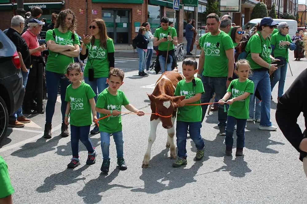 san-isidro-llanera-2025-022