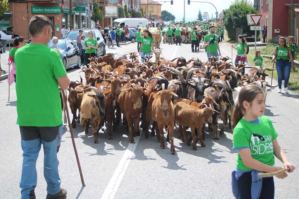 san-isidro-llanera-2025-027