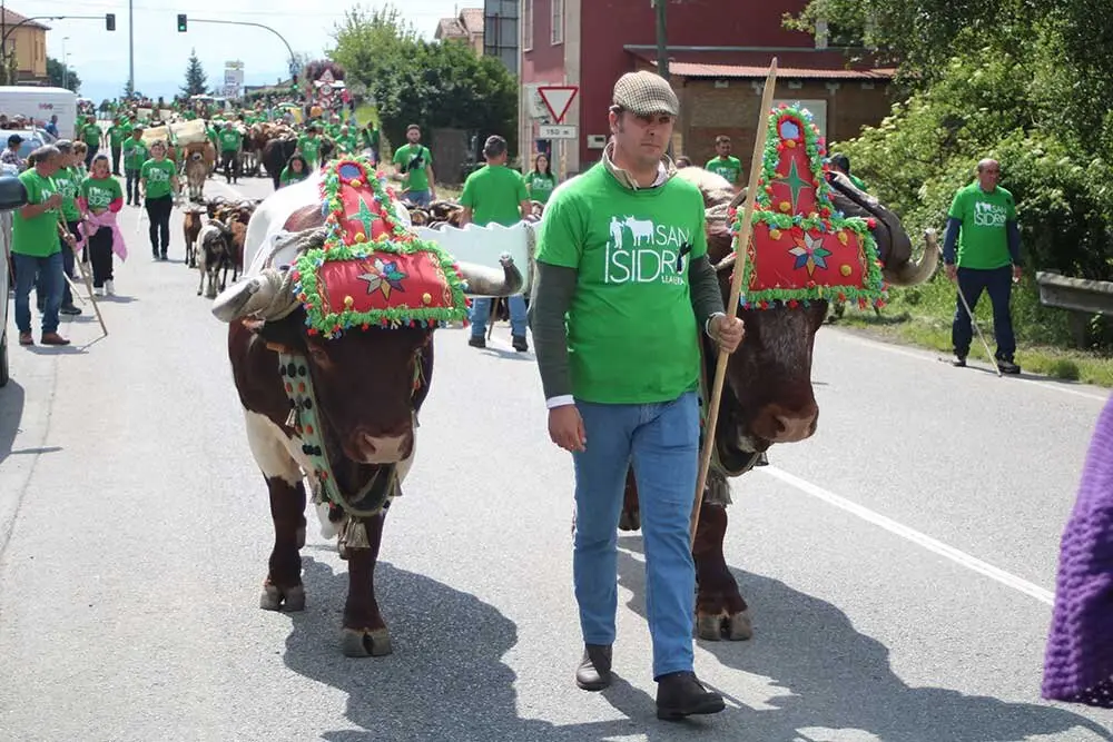 san-isidro-llanera-2025-028