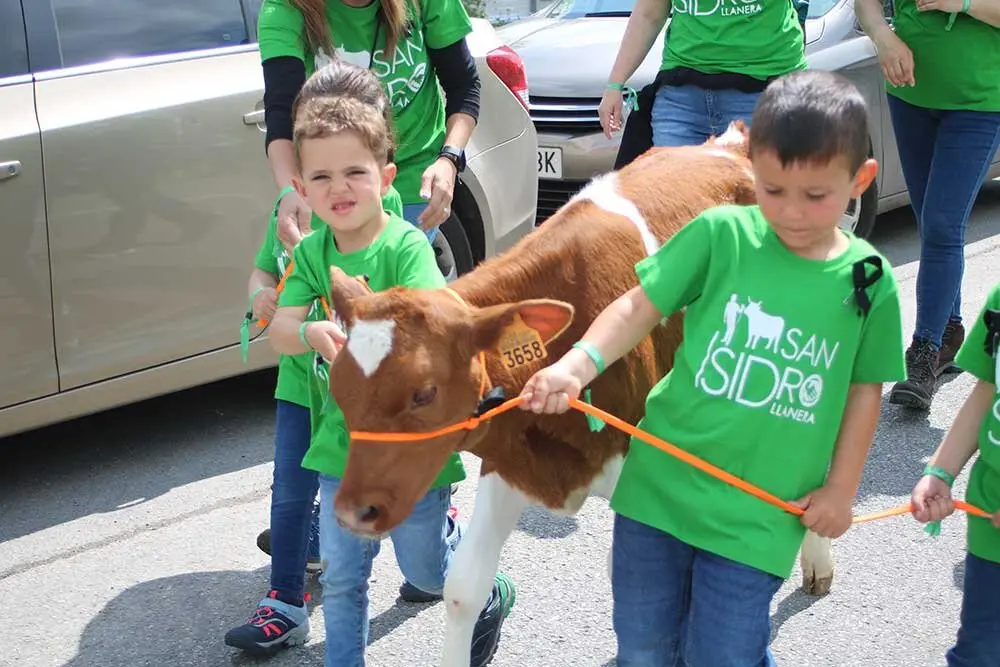 san-isidro-llanera-2025-030