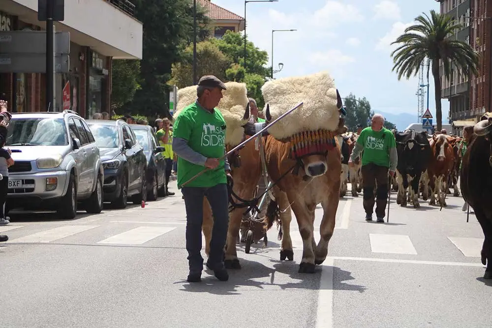 san-isidro-llanera-2025-036