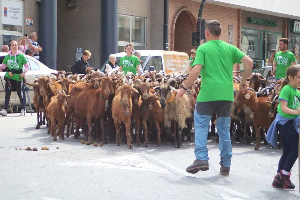 san-isidro-llanera-2025-038