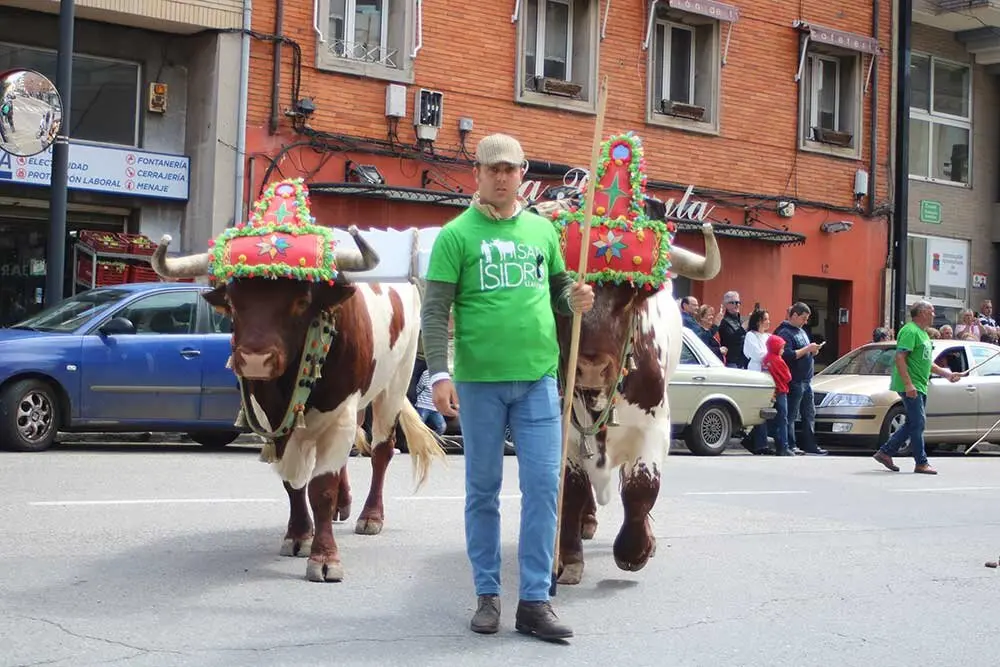 san-isidro-llanera-2025-039