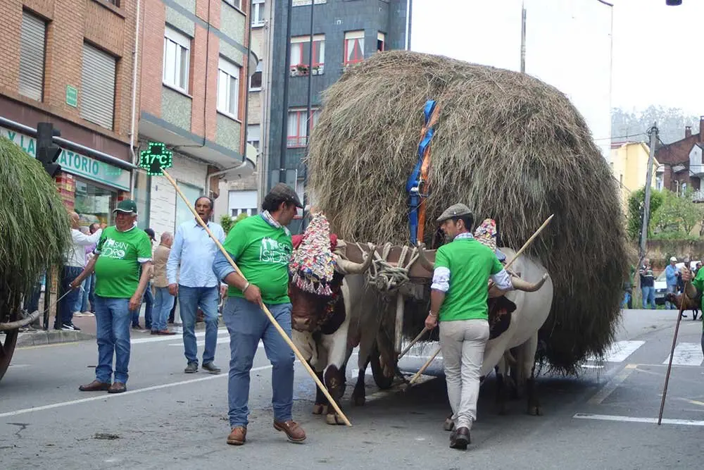 san-isidro-llanera-2025-050