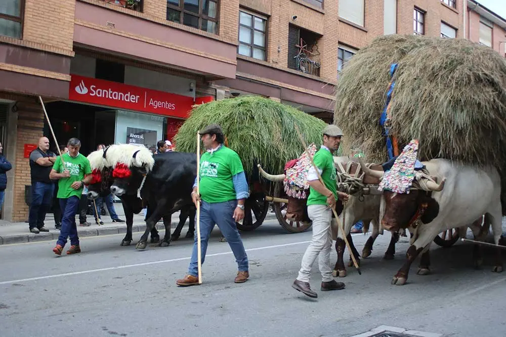 san-isidro-llanera-2025-049