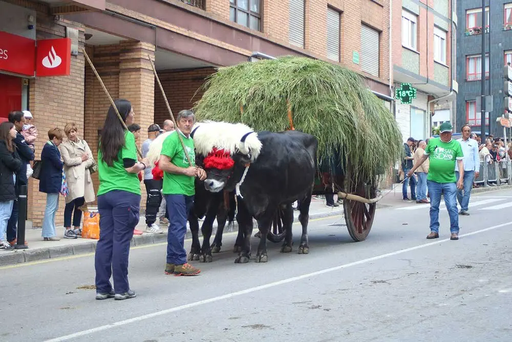 san-isidro-llanera-2025-051