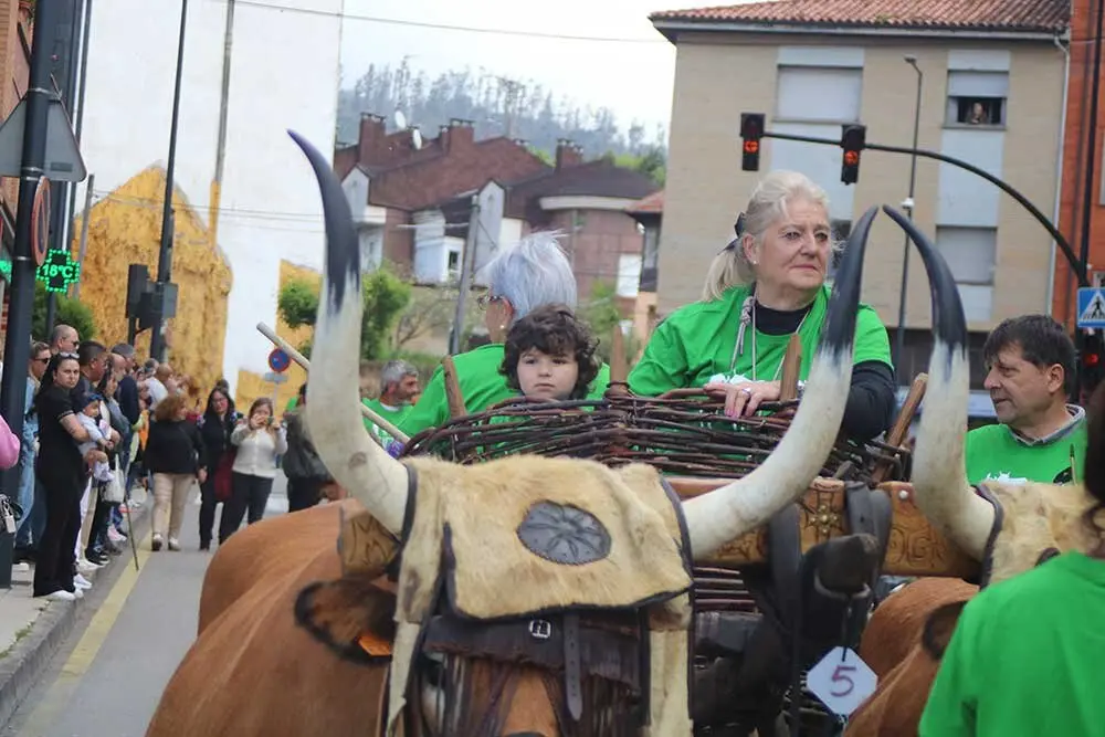 san-isidro-llanera-2025-057