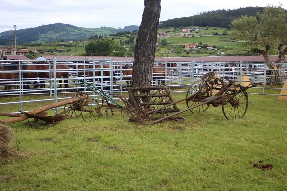 feria-san-isidro-llanera-011