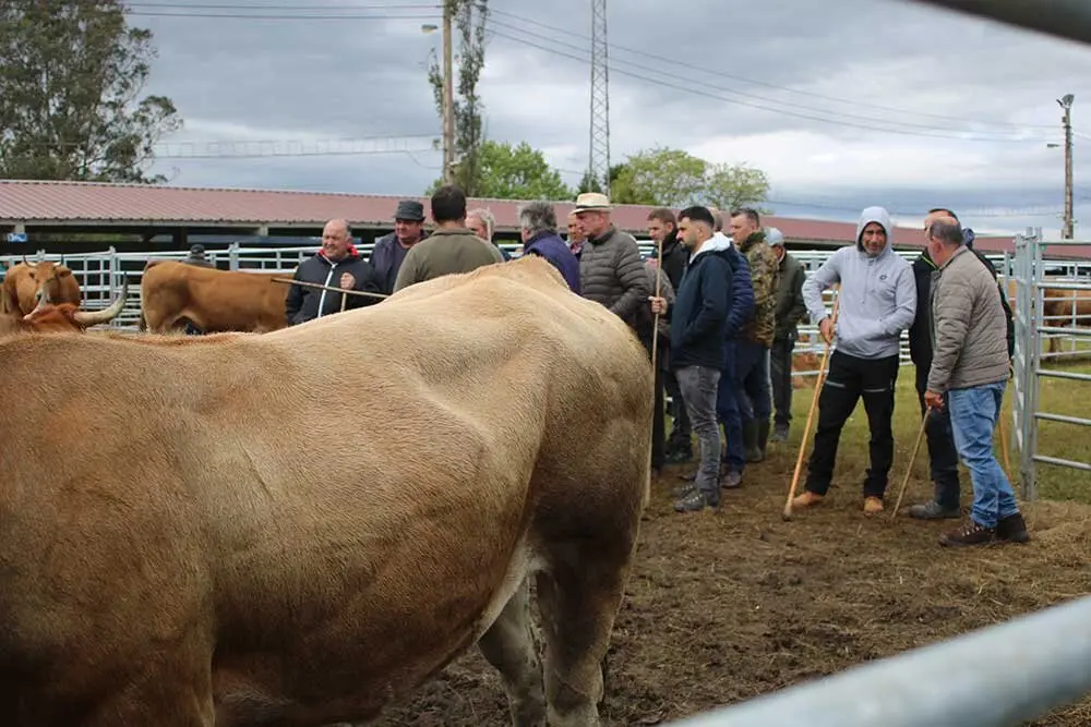 feria-san-isidro-llanera-018