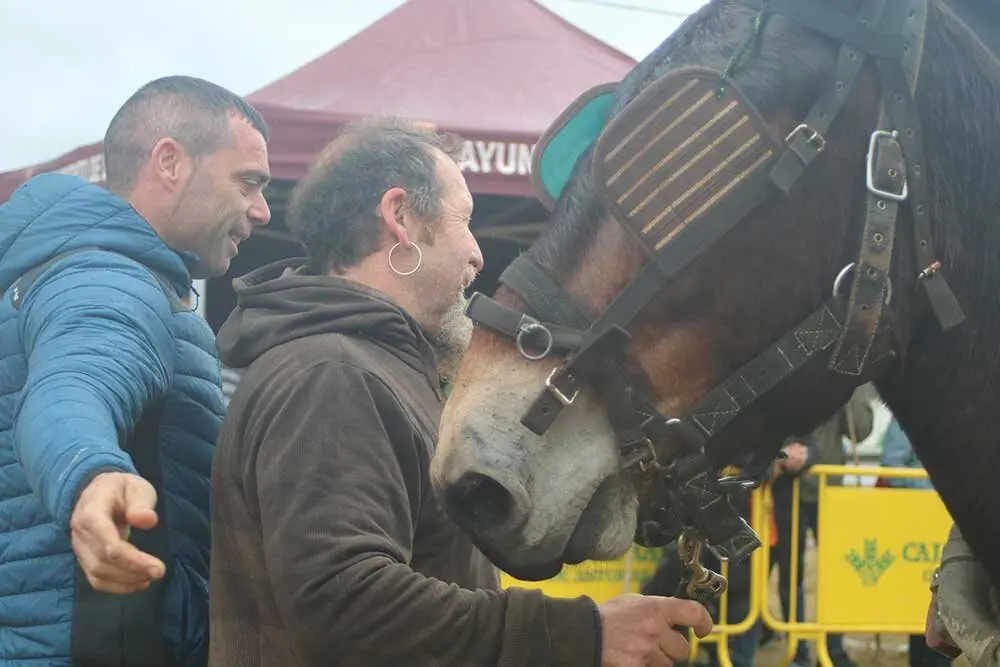 feria-san-isidro-llanera-024