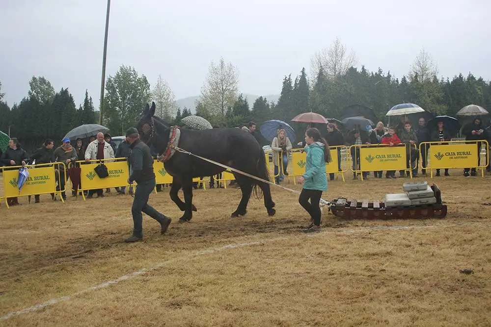 feria-san-isidro-llanera-026