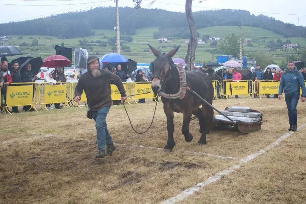 feria-san-isidro-llanera-025