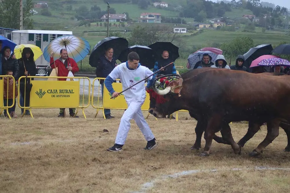 feria-san-isidro-llanera-030