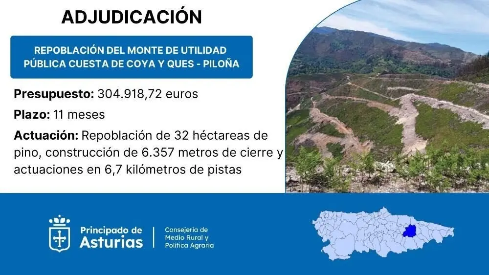 repoblacion-cuesta-coya-ques