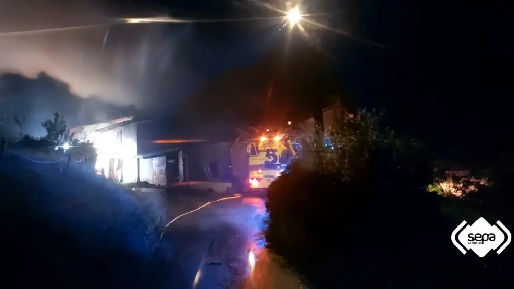 Made with LogoLicious Add Your Logo App