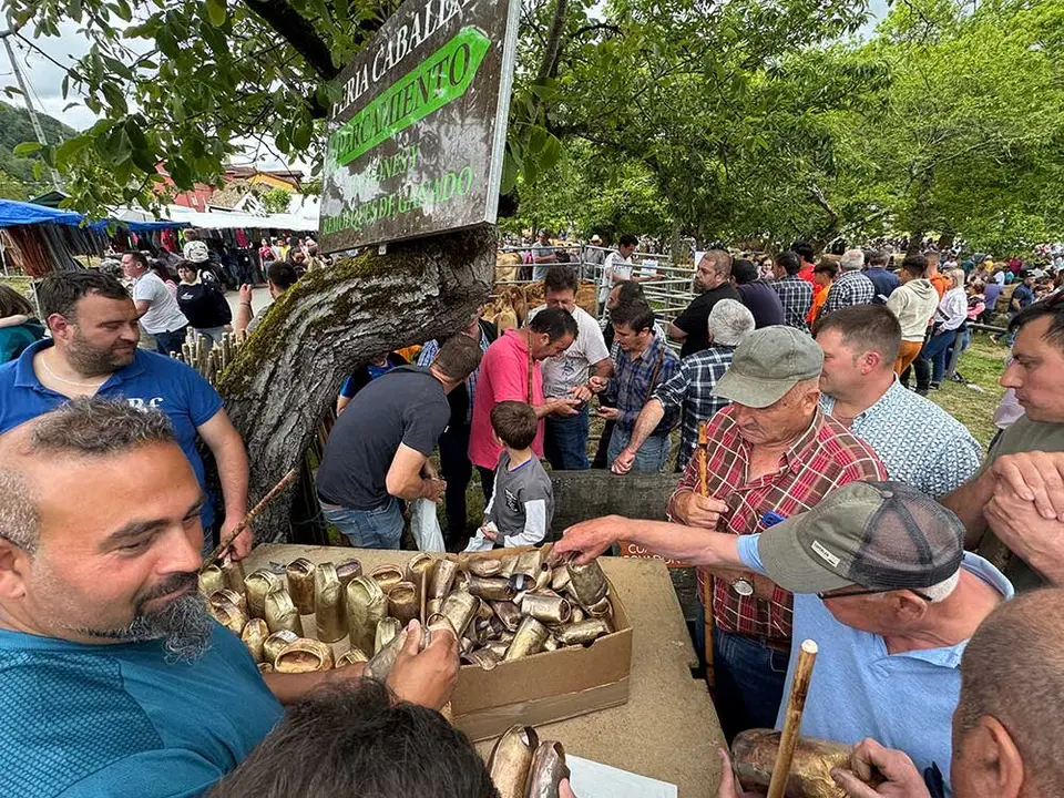 feriona-corao-2025-043