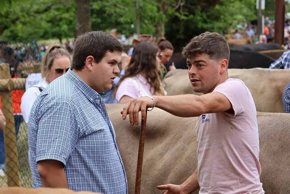 feriona-corao-2025-07